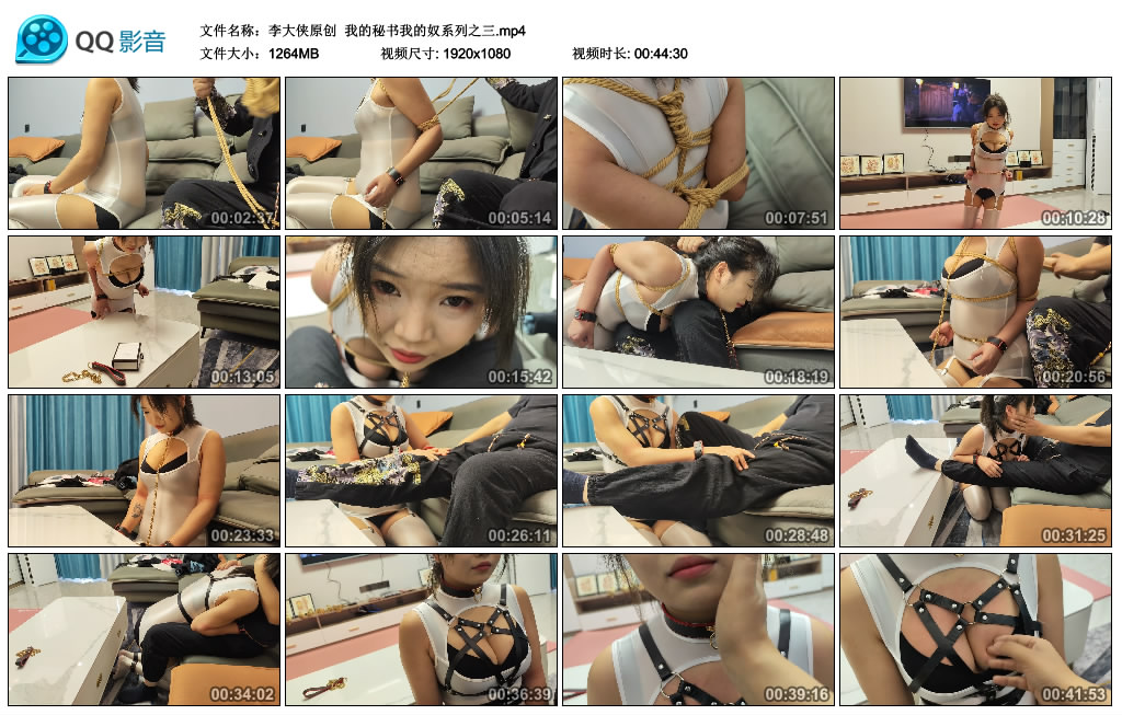 【李大侠原创】 我的秘书我的奴系列之三_HD绳艺资源
