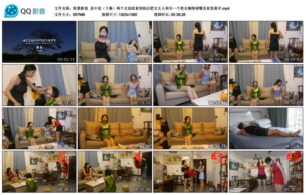 【胜景影视】 劫中劫（下集）_HD绳艺资源