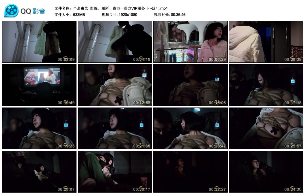 【半岛束艺】 影院、厕所、夜市一条龙VIP服务 下~落叶_HD绳艺资源