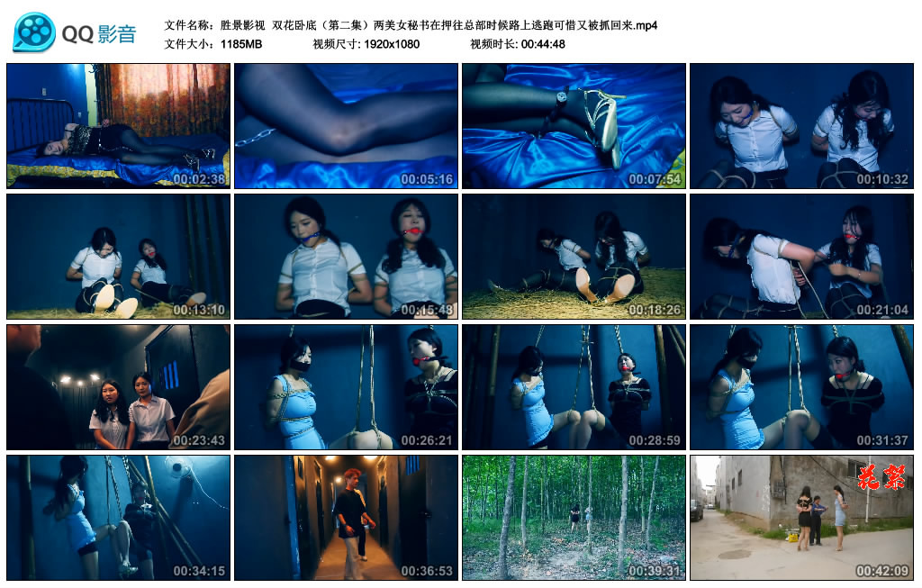 【胜景影视】 双花卧底（第二集）_HD绳艺资源