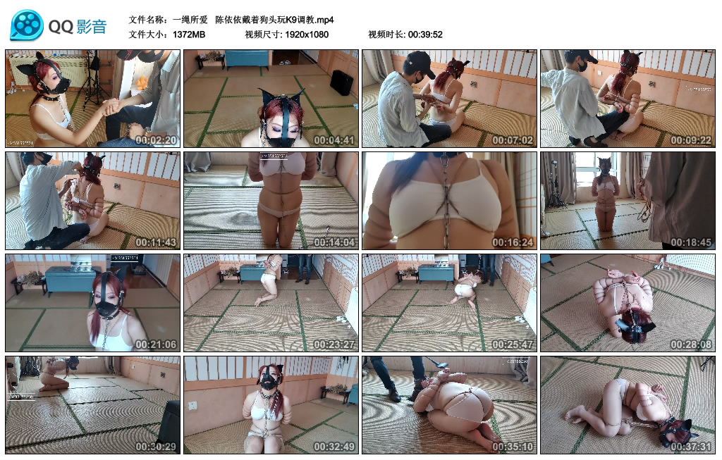 【一绳所爱】  陈依依戴着狗头玩K9艺术训练_HD绳艺资源