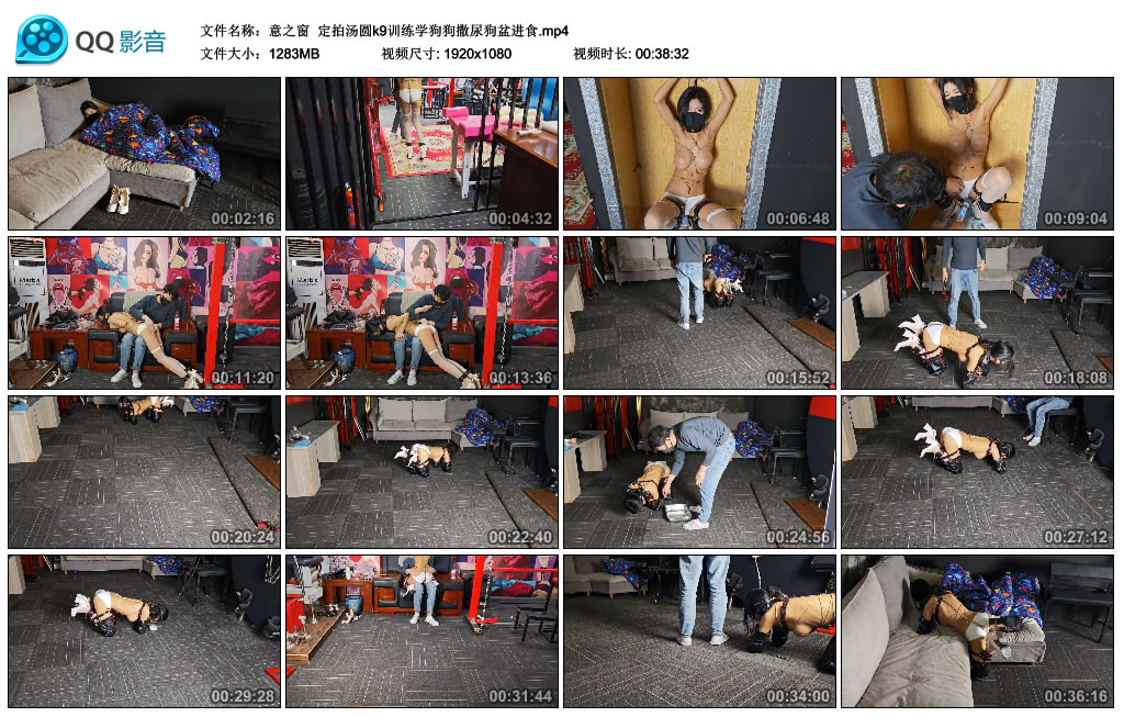 【意之窗】 定拍汤圆k9训练学狗狗撒尿狗盆进食_HD绳艺资源