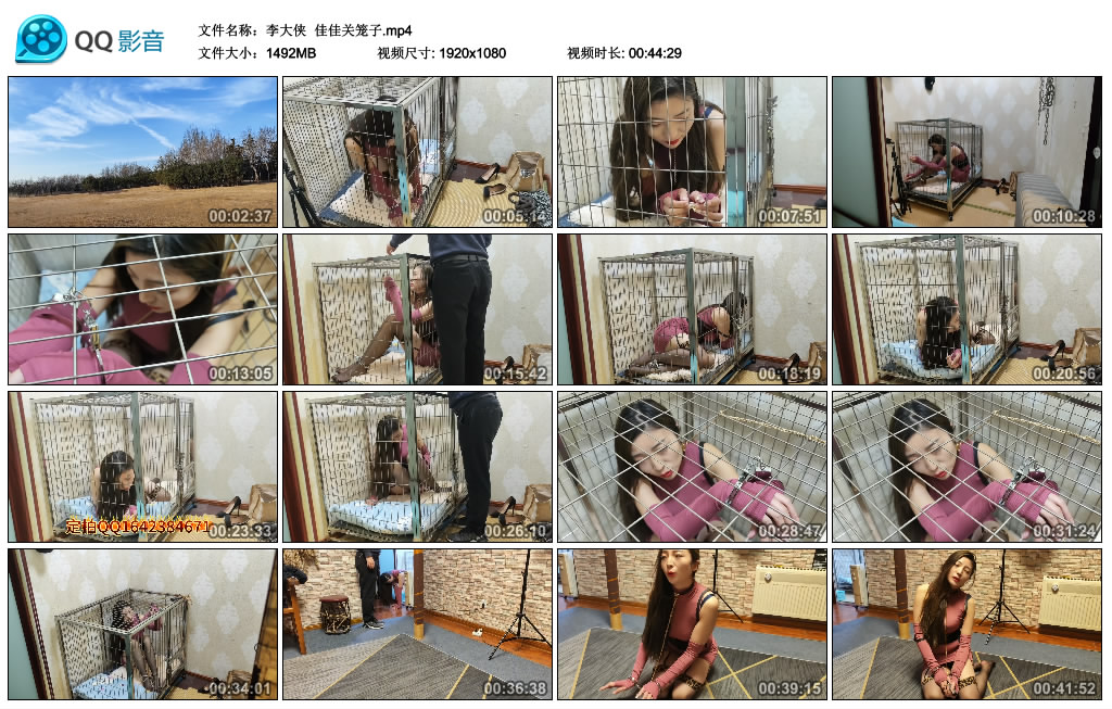 【李大侠】 佳佳关笼子_HD绳艺资源