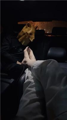 【诗诗】车内玉足恋足舔 JS241120-12_HD绳艺资源