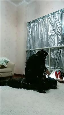 【冰炫】木乃伊全包训练踩踏/艺术圣水 JS241124-2_HD绳艺资源