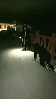 【绯闻王妃】户外骑马遛狗/舔超脏鞋底 JS241126-1_HD绳艺资源