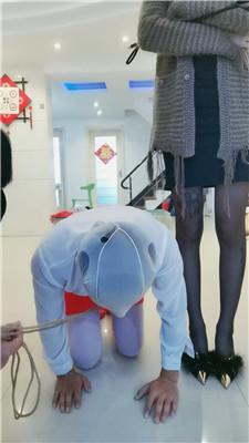 【媚娘工作室】双S-四肢固定彻底犬化训练 JS241125-31_HD绳艺资源