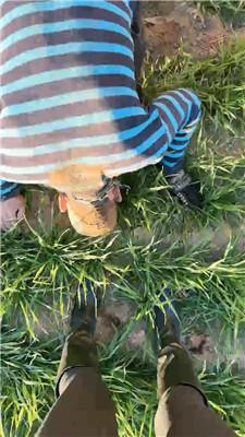 【辣姐】犬化爱好者!户外-骑马/长靴碾压踩/泥巴窒息 bf47553_HD绳艺资源