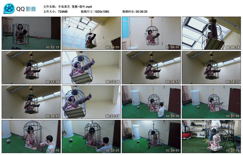 【半岛束艺】 笼震~落叶_HD绳艺资源