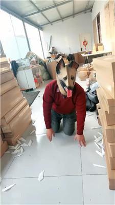 【小原妈妈】彻底训化人形犬 JS241209-27_HD绳艺资源