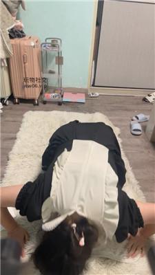 【白兔】翻车场-打哭母畜 JS241213-24_HD绳艺资源