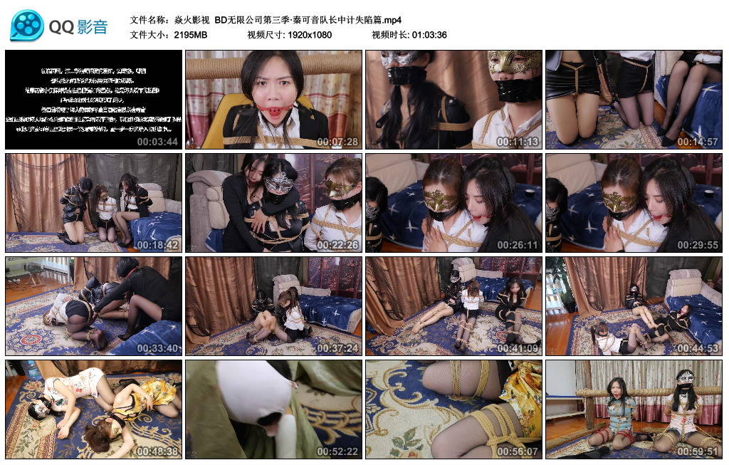 【焱火影视】 BD无限公司第三季·秦可音队长中计失陷篇_HD绳艺资源