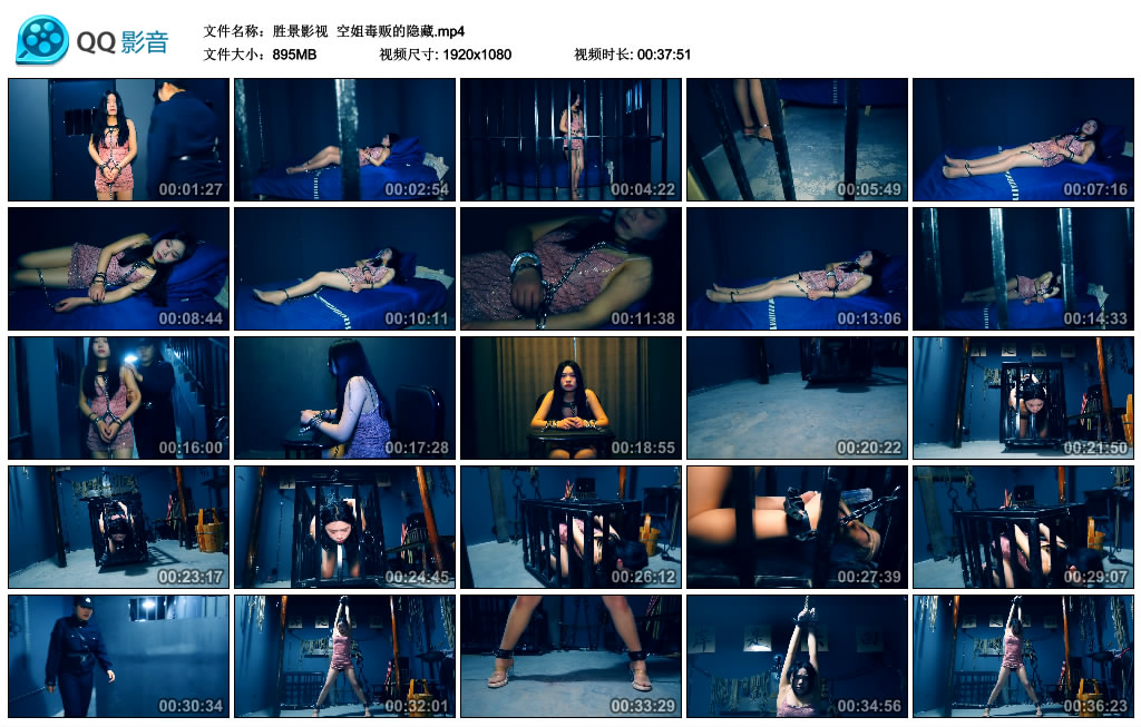 【胜景影视】 空姐毒贩的隐藏_HD绳艺资源