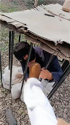 【龙刖】别墅户外彻底犬化专场【双视角版】 JS241230-49_HD绳艺资源