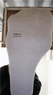 【上海汤圆】白袜    250123-19_HD绳艺资源