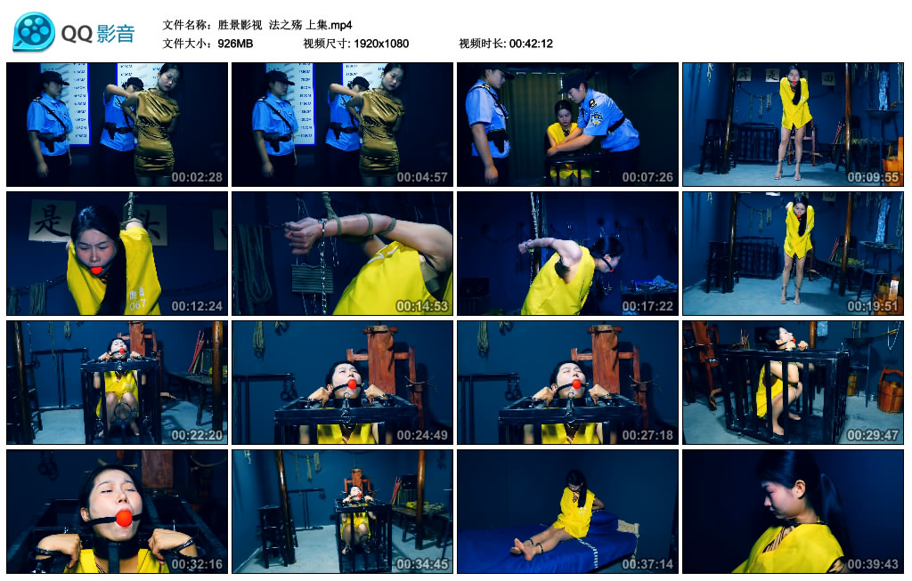 【胜景影视】 法之殇 上集_HD绳艺资源