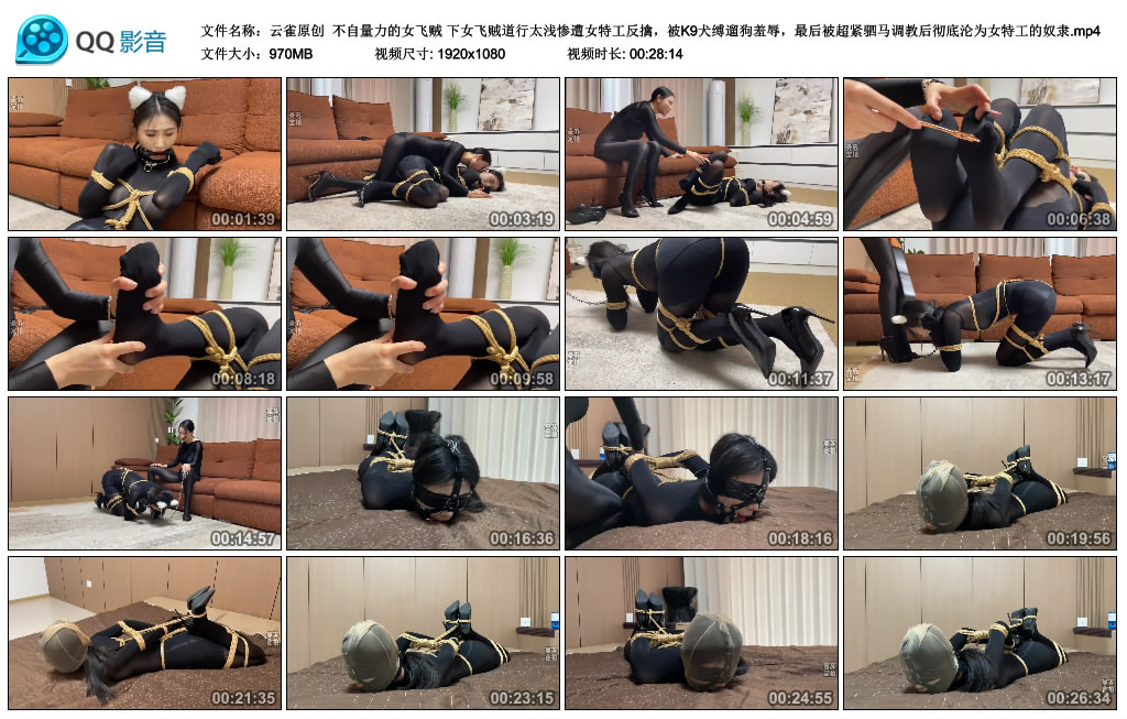 【云雀原创】 不自量力的女飞贼 下_HD绳艺资源