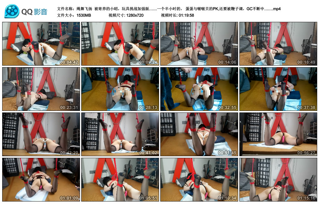 【绳舞飞扬】被寄养的小昭，玩具挑战加强版……一个半小时的， 蛋蛋与啵啵贝的PK,还..._HD绳艺资源