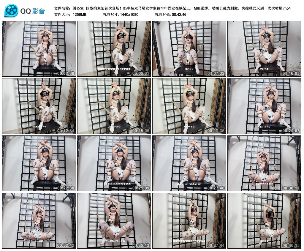 【缚心室】巨型拘束架首次登场！奶牛装双马尾女学生被牢牢固定在铁架上，M腿紧缚。啵..._HD绳艺资源