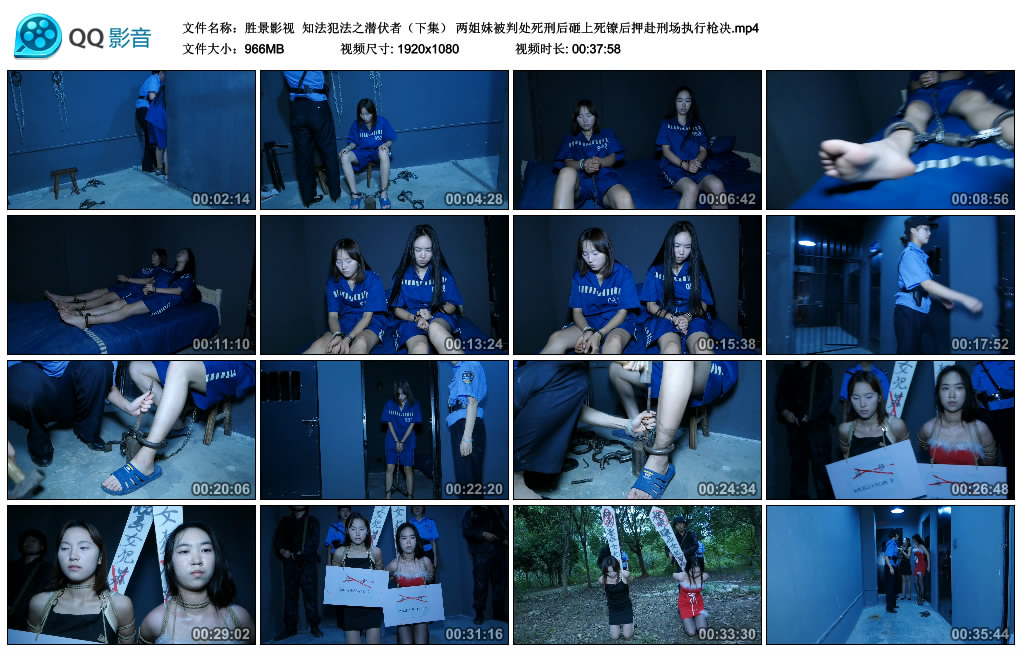 【胜景影视】 知法犯法之潜伏者（下集）_HD绳艺资源