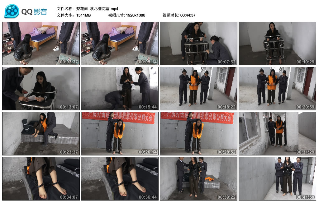 【梨花雨】 秋尽菊花落_HD绳艺资源