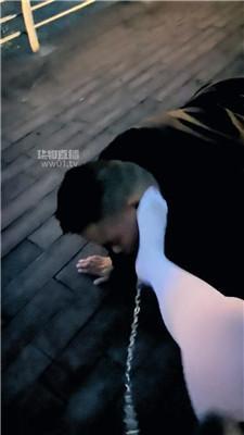 冷艳女王 日落之际户外遛狗 JS251016-8_HD绳艺资源