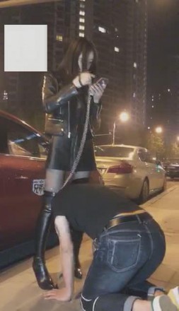 【VIVI】超刺激！午夜遛人形犬