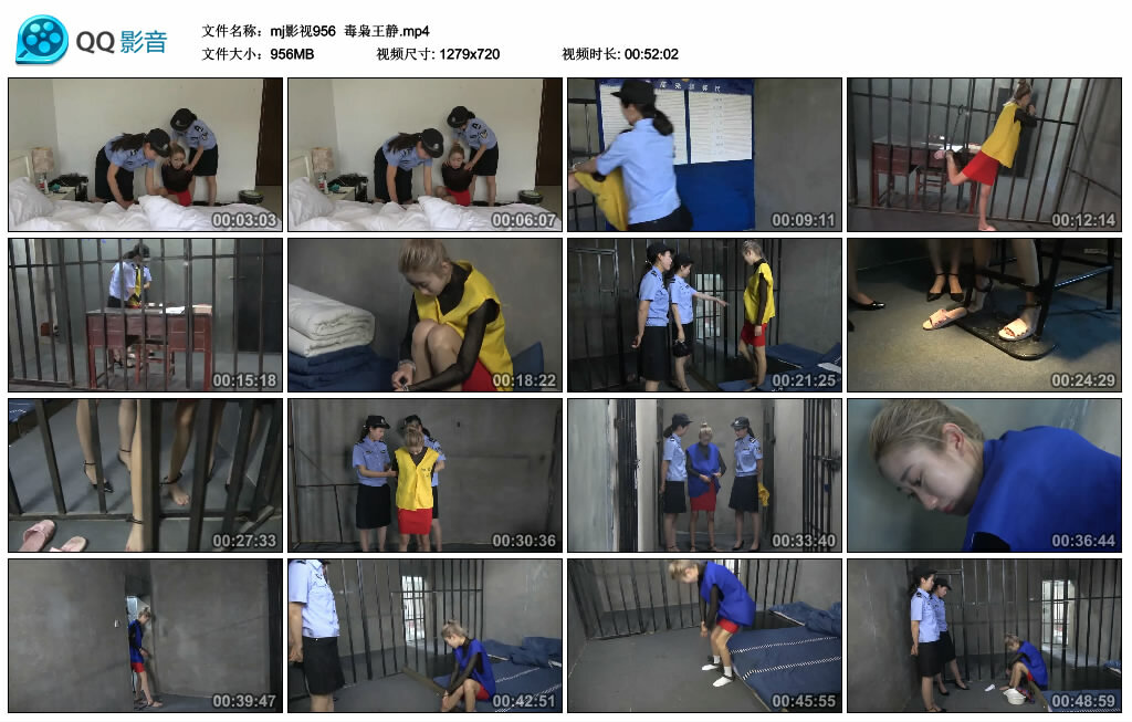 【mj影视】毒枭王静_HD绳艺资源