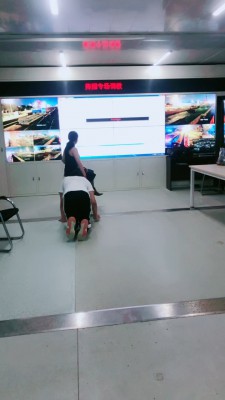 【舞媚】君临天下双狗争霸 bf19523