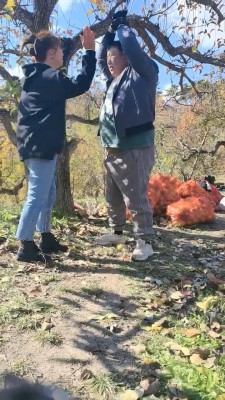 【简爱】户外袜子塞嘴虐打胖墩 bf19834_HD绳艺资源