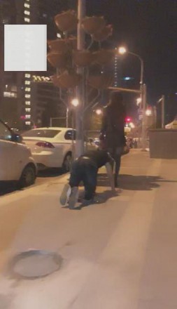 【VIVI】超刺激！午夜遛人形犬