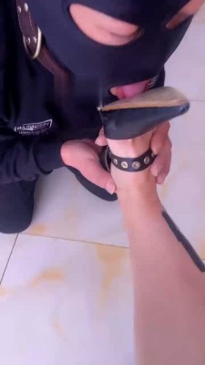 【一纸】超强语言辱全家 bf21493