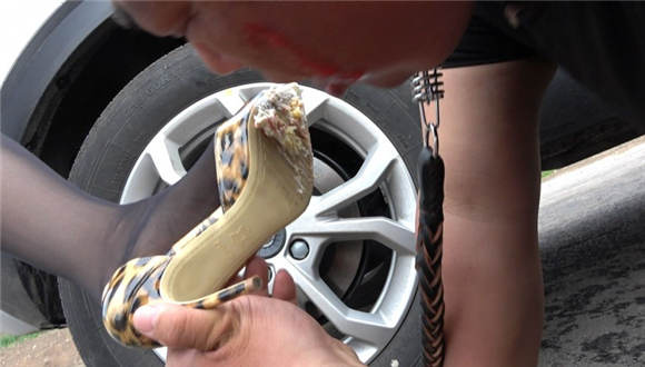 猪奴雨天的生日