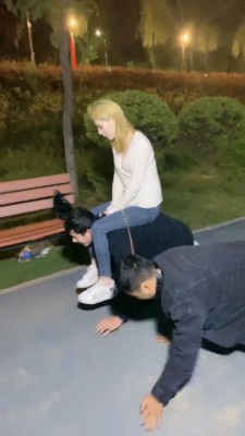 【紫烟】户外调双狗比赛【双视角版】 bf11809