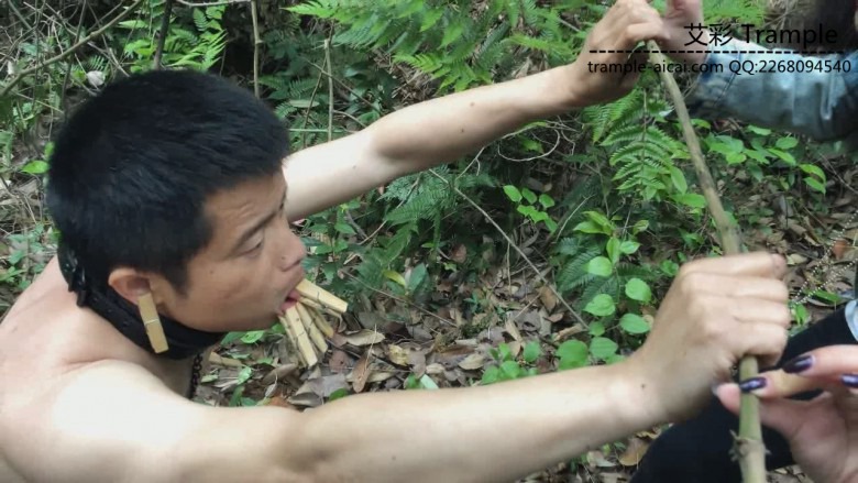 《湘香女王》野外负荆请罪的狗