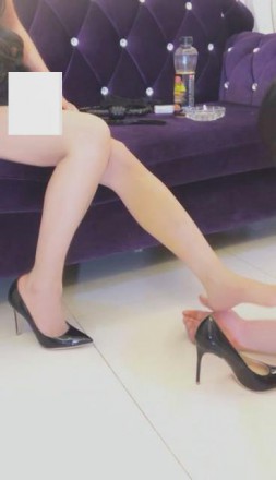 【冷柔s】教育狗畜生