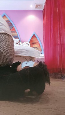 【嗯哼】长靴辱狗 bf22816