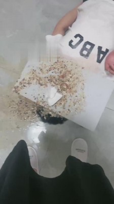 【逗逗】呕吐物强制喂食 bf15661