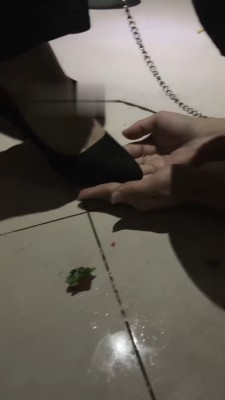 【伊妮S】开发素人做狗 bf22022_HD绳艺资源