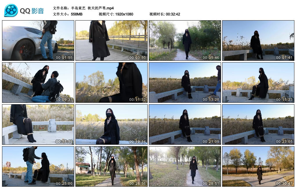 【半岛束艺】秋天的芦苇_HD绳艺资源