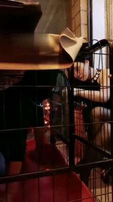 【傲雪】废物绿帽香水羞辱 bf21745_HD绳艺资源