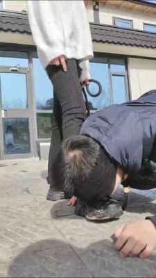 【辰辰】冰天雪地户外遛狗骑马 bf23262