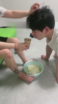 【逗逗】呕吐物强制喂食 bf15661