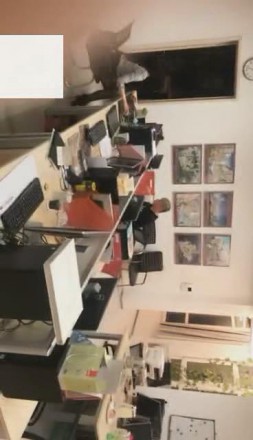 【VIVI】午夜办公室艺术训练_HD绳艺资源