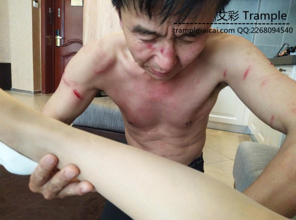 暴踹老贱狗，重度耳光