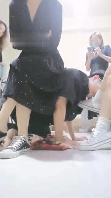 【陌初】多主群调圈养狗【四视角版】 JS220902202