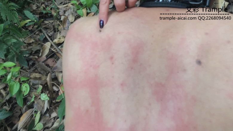 《湘香女王》野外负荆请罪的狗