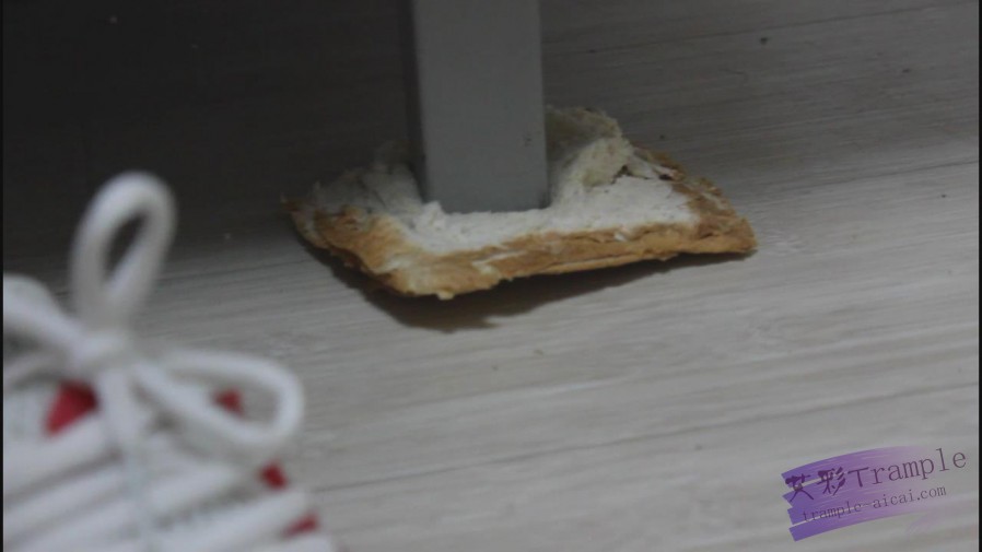 第一视角羞辱-贱货踩废你碾碎的狗爪子（面包片）
