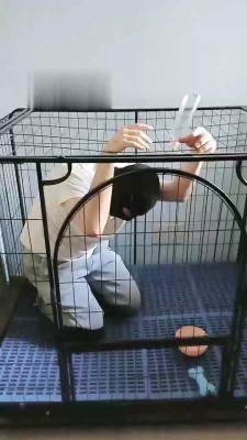 【安静S】狗笼圈养【双视角版】 bf19402