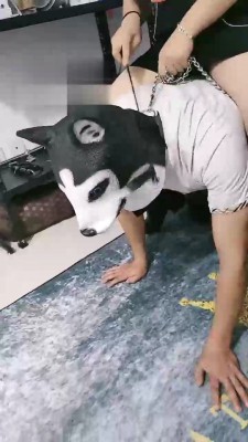 【内蒙一一】骑马+全体重踩踏 bf17843_HD绳艺资源